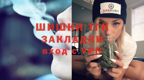 хмурый Белокуриха