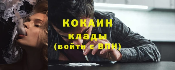 хмурый Белокуриха