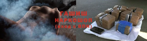 хмурый Белокуриха
