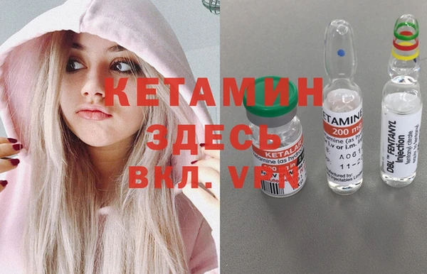 хмурый Белокуриха
