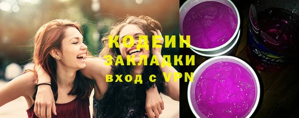 хмурый Белокуриха