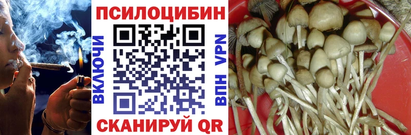 Псилоцибиновые грибы мицелий Набережные Челны